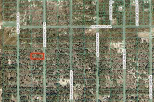 SW Winding Hills Rd, Dunnellon, FL 34431 - Photo 1