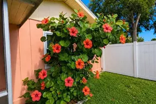 733 Laurel Ave, Venice, FL 34285 - Photo 8