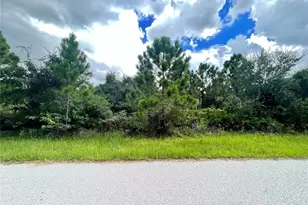 12467 Divan Ave, Port Charlotte, FL 33981 - Photo 1