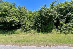 48 Ramblewood St, Port Charlotte, FL 33953 - Photo 1