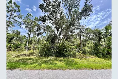 13377 Johannes Avenue, Port Charlotte, FL 33953 - Photo 1