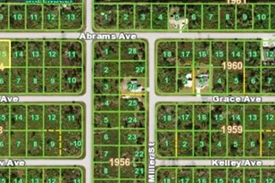 12085 Abrams Ave, Port Charlotte, FL 33981 - Photo 1
