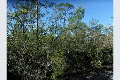 10566 Interlacher Drive, Sebring, FL 33875 - Photo 4