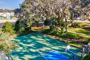 10703 Falling Leaf Ct, Parrish, FL 34219 - Photo 68