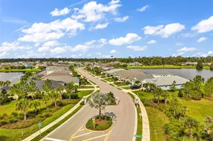 10703 Falling Leaf Ct, Parrish, FL 34219 - Photo 56