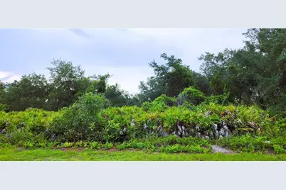 12242 Bacchus Road, Port Charlotte, FL 33981 - Photo 2