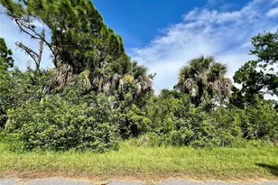 2168 Belvoir St, Port Charlotte, FL 33953 - Photo 1