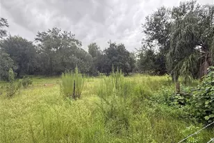2480 NW Genes Little Acres Ave, Arcadia, FL 34266 - Photo 36