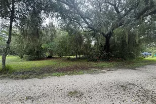 2480 NW Genes Little Acres Ave, Arcadia, FL 34266 - Photo 38