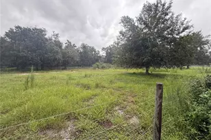 2480 NW Genes Little Acres Ave, Arcadia, FL 34266 - Photo 40
