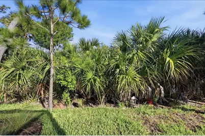 25029 Pearl Lake Circle #25029, Englewood, FL 34223 - Photo 40