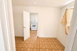207 S Lee Ave, Arcadia, FL 34266 - Photo 10