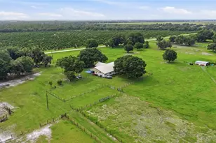6902 Johnston Rd, Zolfo Springs, FL 33890 - Photo 52