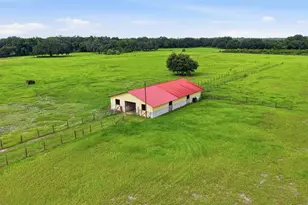 6902 Johnston Rd, Zolfo Springs, FL 33890 - Photo 50