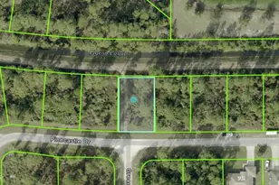 743 Pinecastle Dr, Lehigh Acres, FL 33974 - Photo 1