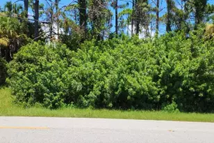 151 Ravenswood Blvd, Port Charlotte, FL 33954 - Photo 1