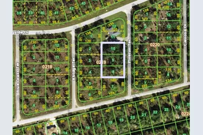 13263 Pinerun Terrace, Punta Gorda, FL 33955 - Photo 2
