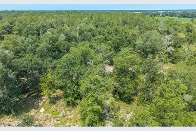 12329 176th Street, Mc Alpin, FL 32062 - Photo 30