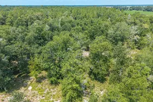 12329 176th St, Mc Alpin, FL 32062 - Photo 30