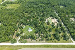 12329 176th St, Mc Alpin, FL 32062 - Photo 24