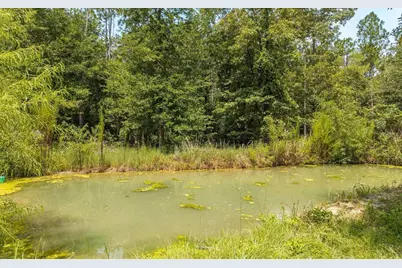 12329 176th Street, Mc Alpin, FL 32062 - Photo 4