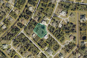 Amari Lots 22 & 23 Rd, North Port, FL 34291 - Photo 1