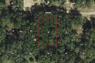 2911 Tyler St, Inverness, FL 34453 - Photo 1