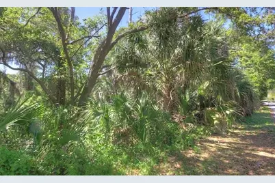 Lot 2 SW 165th Avenue, Cedar Key, FL 32625 - Photo 8