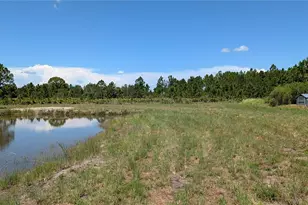 50078 Bermont Rd, Punta Gorda, FL 33982 - Photo 48