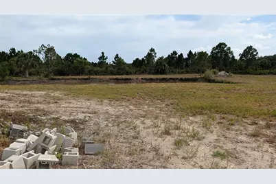 50078 Bermont Road, Punta Gorda, FL 33982 - Photo 46