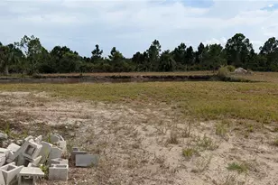 50078 Bermont Rd, Punta Gorda, FL 33982 - Photo 46