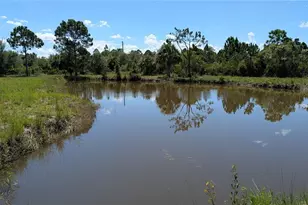 50078 Bermont Rd, Punta Gorda, FL 33982 - Photo 50