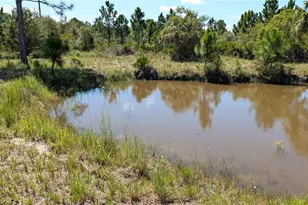 50078 Bermont Rd, Punta Gorda, FL 33982 - Photo 48