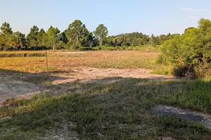 50078 Bermont Rd, Punta Gorda, FL 33982 - Photo 44