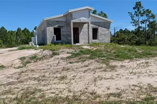 50078 Bermont Rd, Punta Gorda, FL 33982 - Photo 4