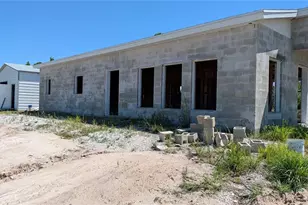 50078 Bermont Rd, Punta Gorda, FL 33982 - Photo 4