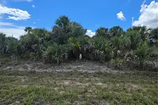 Havemeyer St, North Port, FL 34288 - Photo 1