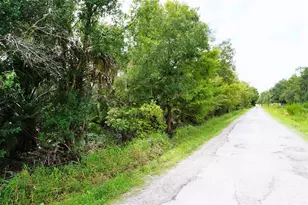 2047 SW Nassau Ave, Arcadia, FL 34266 - Photo 1