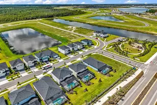 45012 Pipevine Cir, Punta Gorda, FL 33982 - Photo 80