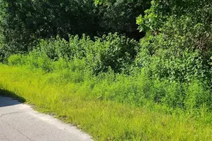 Corvette Ln, North Port, FL 34287 - Photo 1