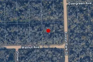 3998 Walnut Ave, Bunnell, FL 32110 - Photo 1