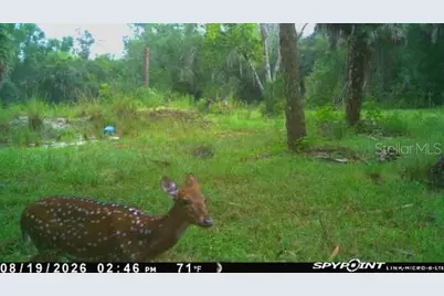 8538 SW Opossum Trl, Arcadia, FL 34266 - Photo 14