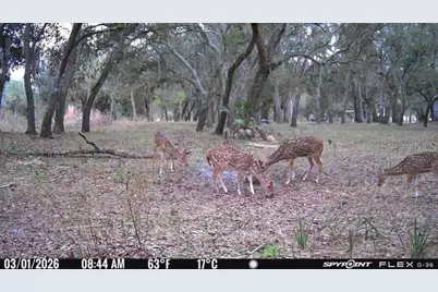 8538 SW Opossum Trl, Arcadia, FL 34266 - Photo 16