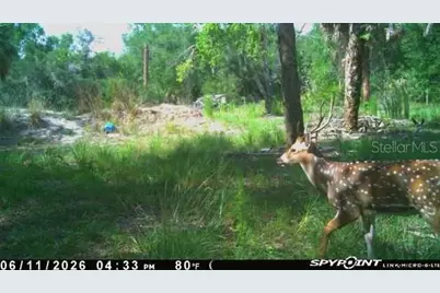 8538 SW Opossum Trl, Arcadia, FL 34266 - Photo 12