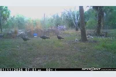 8538 SW Opossum Trl, Arcadia, FL 34266 - Photo 8