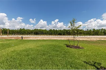45126 Pipevine Circle, Punta Gorda, FL 33982 - Photo 4