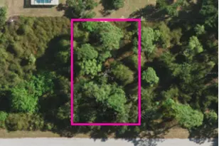 2384 Redfern St, Port Charlotte, FL 33948 - Photo 1