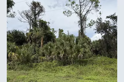 Barcelona Drive, North Port, FL 34288 - Photo 2