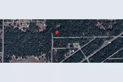 7715 & 7691 W Rainbow Street, Dunnellon, FL 34433 - Photo 2