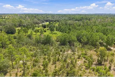 0 Seely Lane, Weeki Wachee, FL 34613 - Photo 12